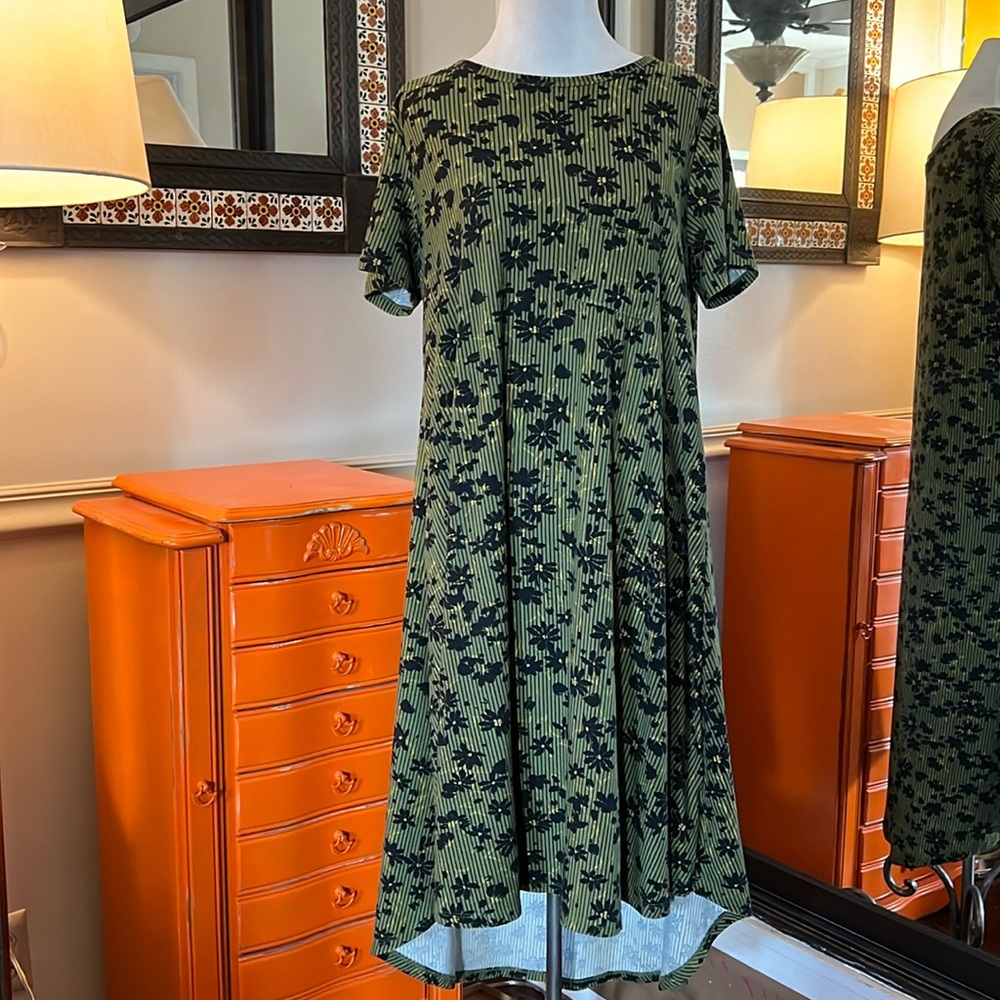LuLaRoe Carly Swing Dress